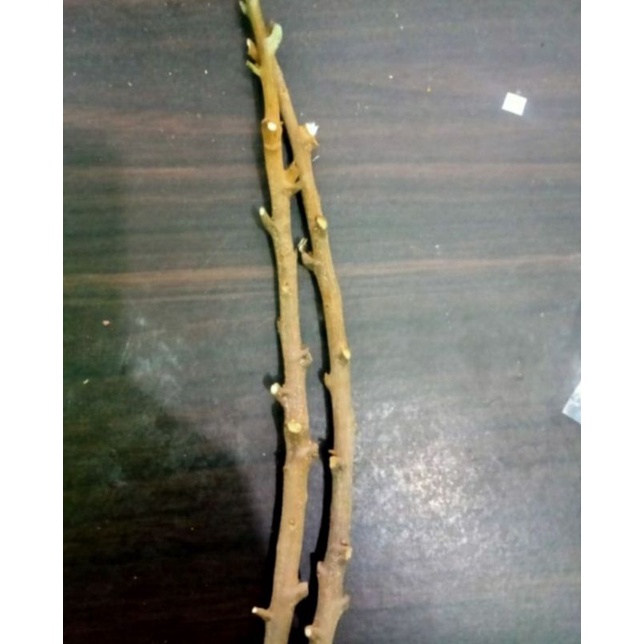 Entres Kelengkeng Aroma Durian