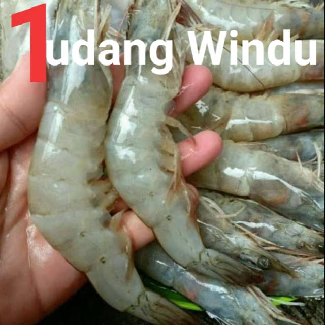 

Kepiting & Udang