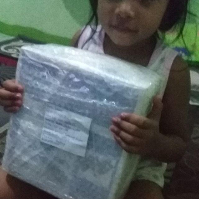 Rachet Tie Down 2x10m Cargo Lashing Tali Pengikat Barang Bak Truk