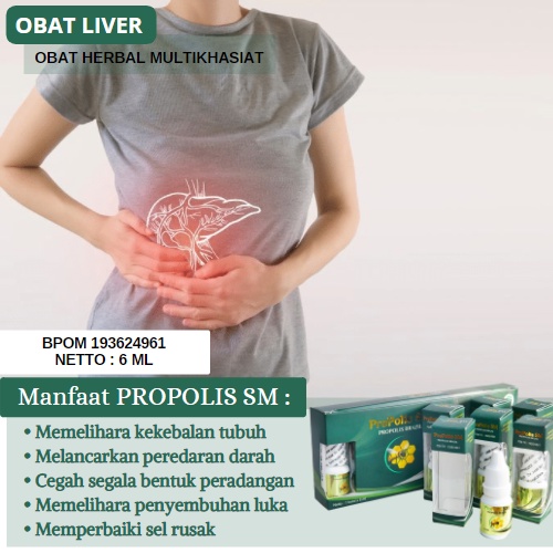 Propolis SM Obat Herbal Mengobati Perlemakan Hati, Liver, Sirosis, Hepatitis A B C Kronis, Penyakit 