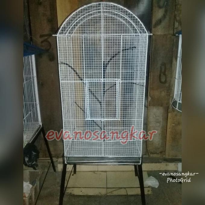 kandang koloni kaki 4 kawat ram ---Murah---