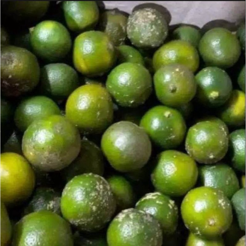 

Jeruk sonkit |Jeruk kunci|Jeruk pontianak|Lemon cui 500gr
