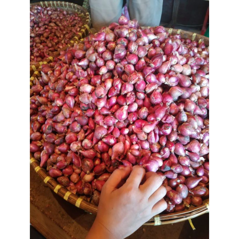 

bawang merah