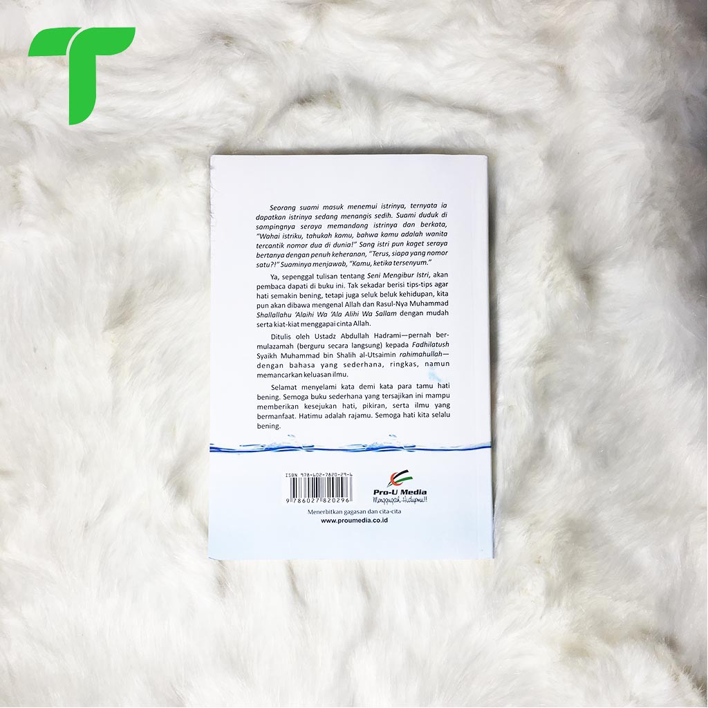 Mata Air Inspirasi (Ustadz Abdullah Sholeh Hadrami)-1