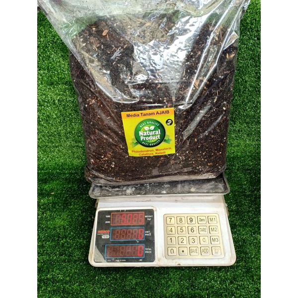 Media tanam ajaib 5kg, metan aglonema, metan varigata, metan premium