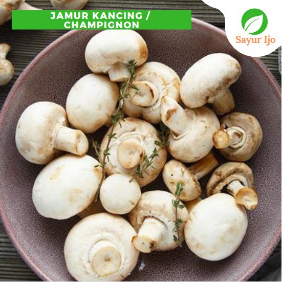 

Jamur Kancing Champignon 480 - 500 Gram Fresh Agaricus Bisporus Mushroom Sayur Hijau Segar