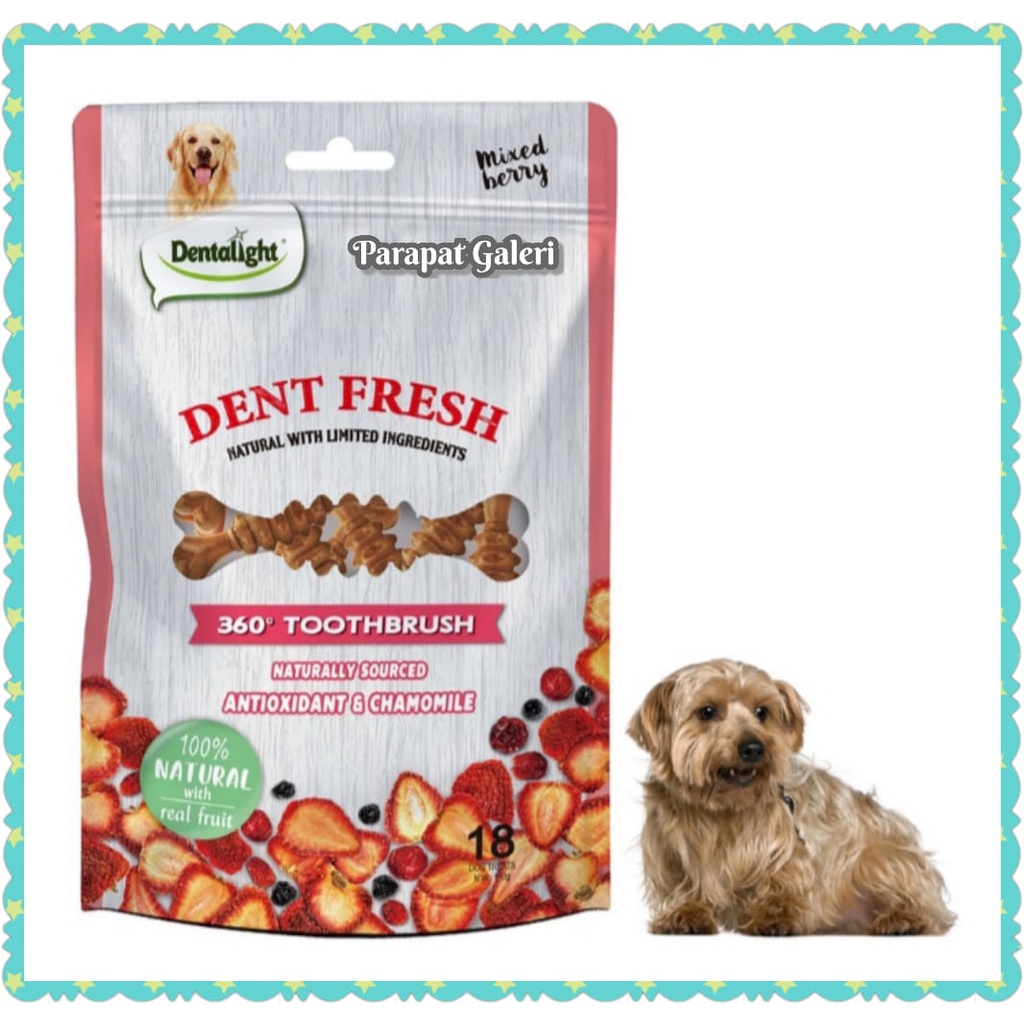 Dentalight DENT FRESH 360 Toothbrush Dental Snack 150Gr - Dog Snack - Snack Anjing