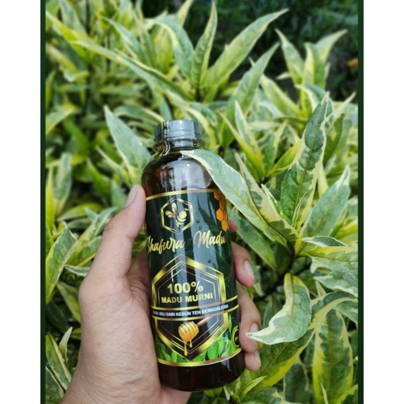 

Madu Asli Shafura Madu || Madu Teh berkualitas 100% murni 250ml