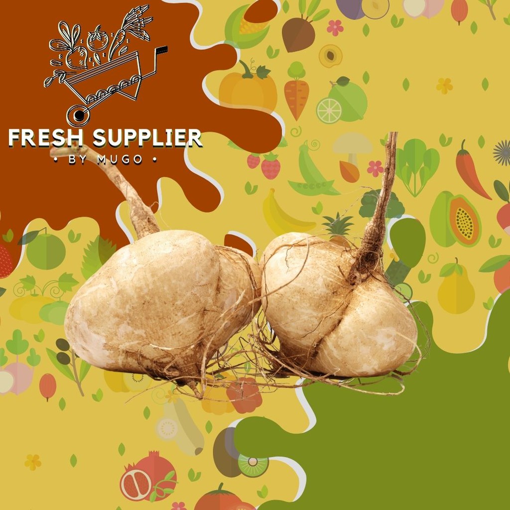 

Bengkuang 1kg Fresh Supplier
