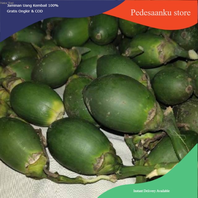 

Buah pinag muda segar 500 gram