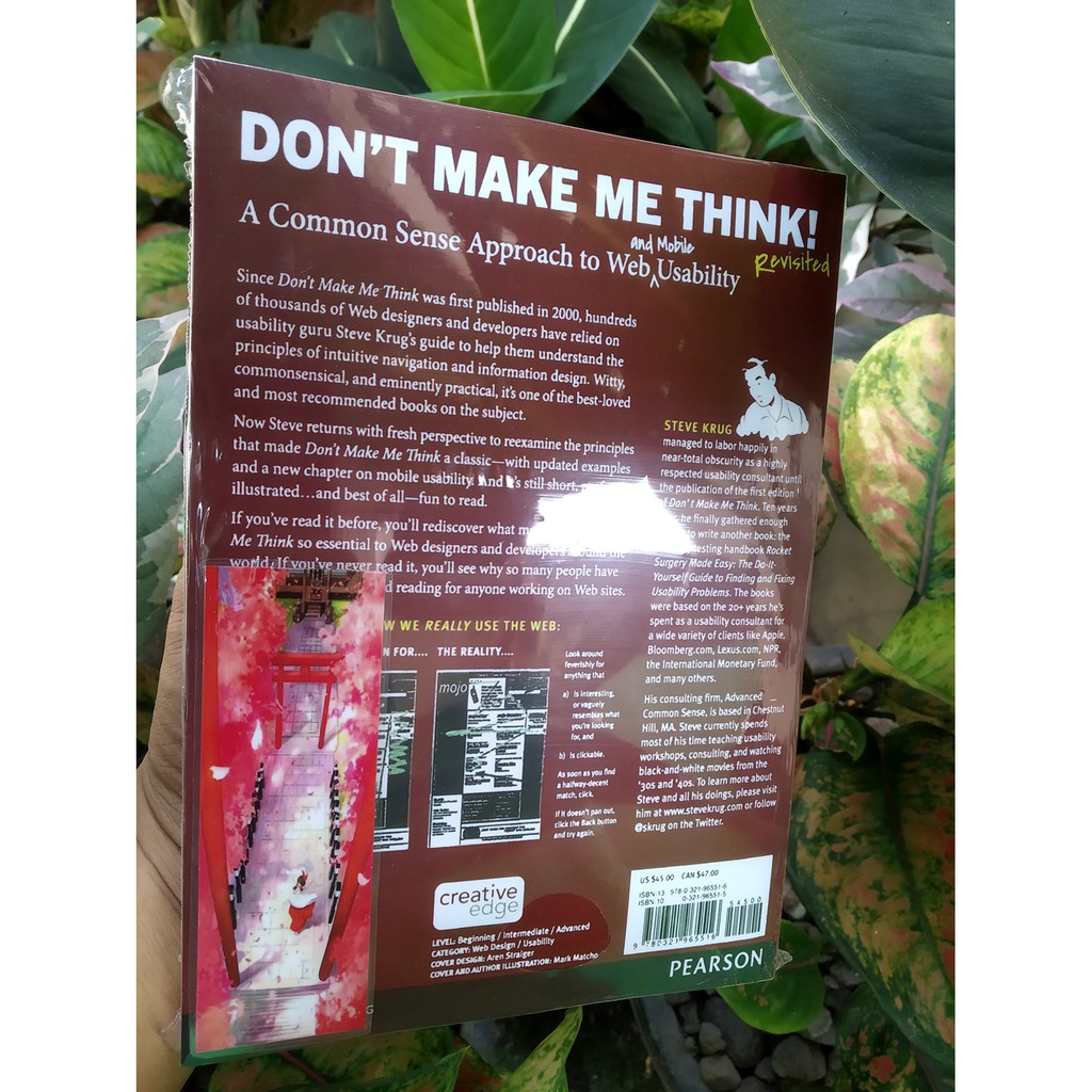 Don't Make Me Think, Revisited by Steve Krug