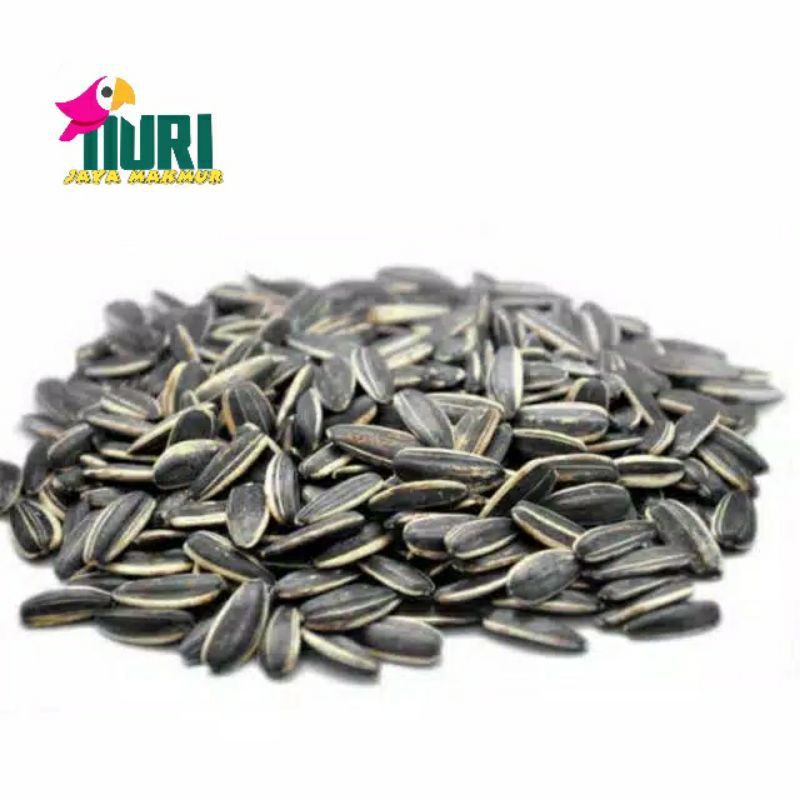 

KWACI REBO ASLI 250gr TERMURAH !!!