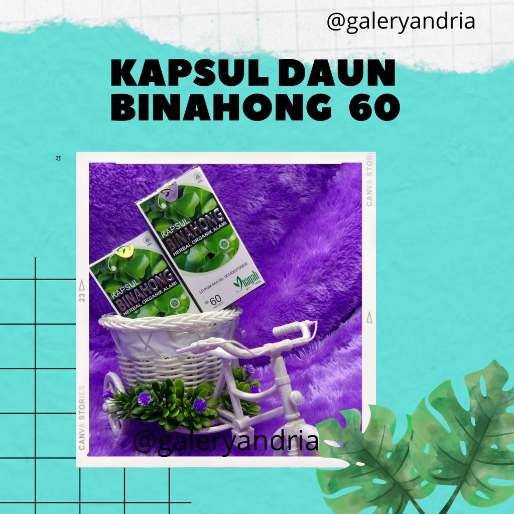 

kapsul daun binahong inayah kapsul kesehatan binahong murah original