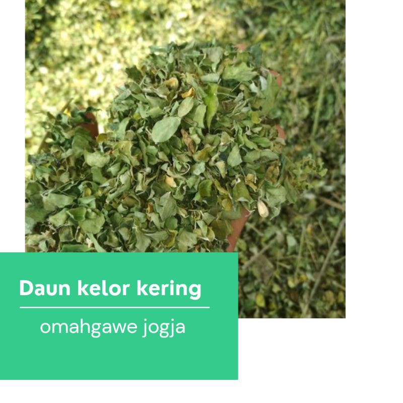 

(Netto 1KG) Daun kelor kering / obat herbal joss