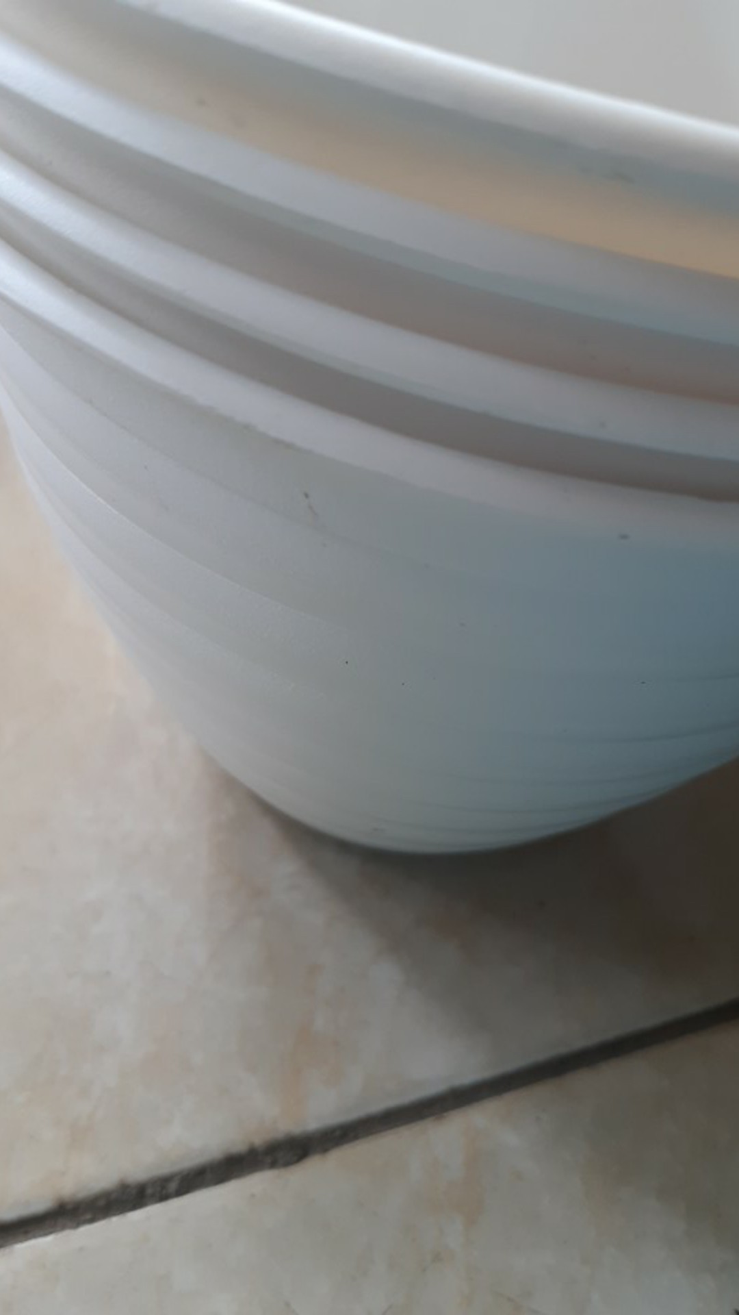 Pot Bunga Tanaman Tawon Putih 18cm +tatakan Bawah