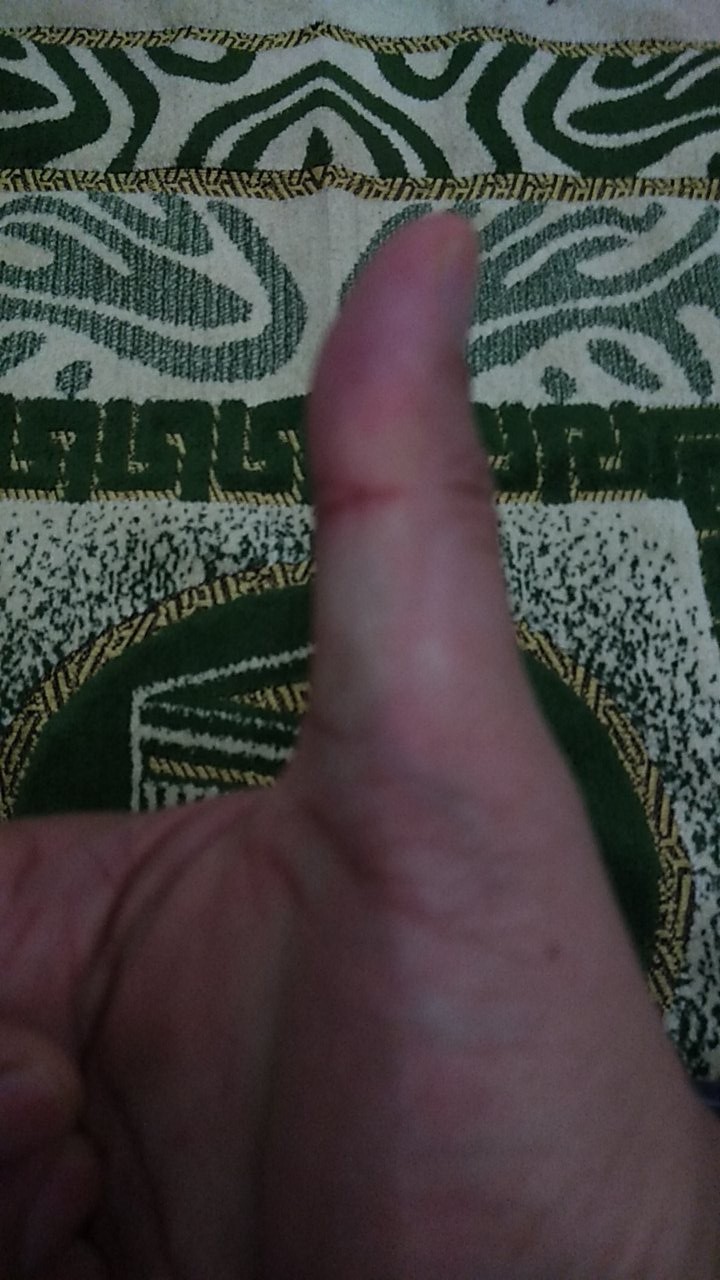 Gembok Tabung Cavallo U/ Folding Gate Gudang Rumah Pabrik Toko Bengkel Pagar