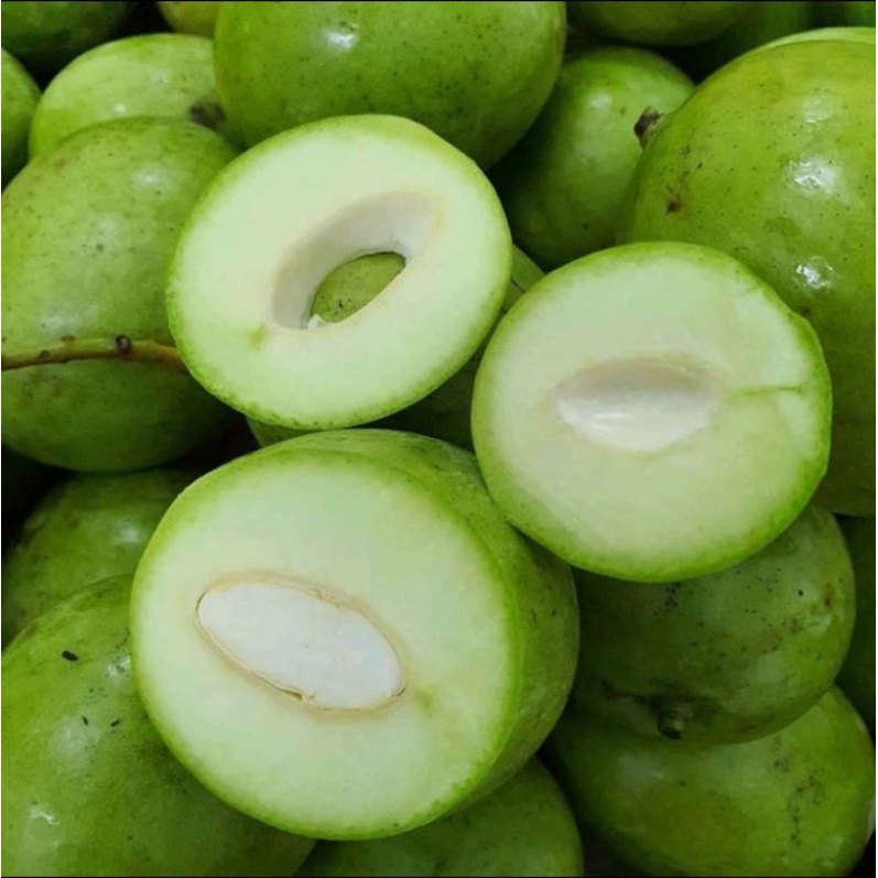 

MANGGA MUDA FRESH / 1KG