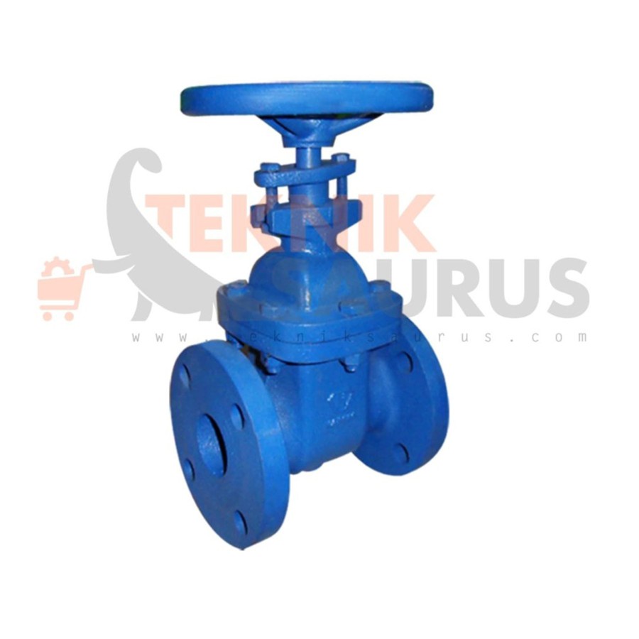 Gate Valve Non Rising 6"