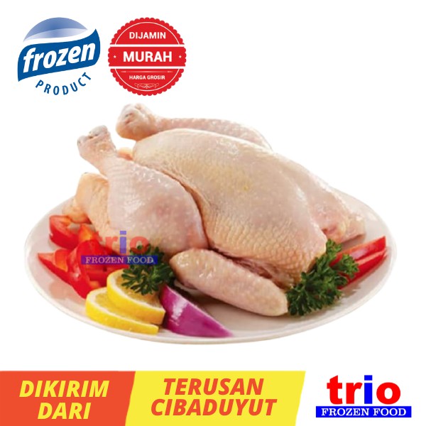 

Ayam Potong Broiler Karkas Utuh ukuran 700-800gr