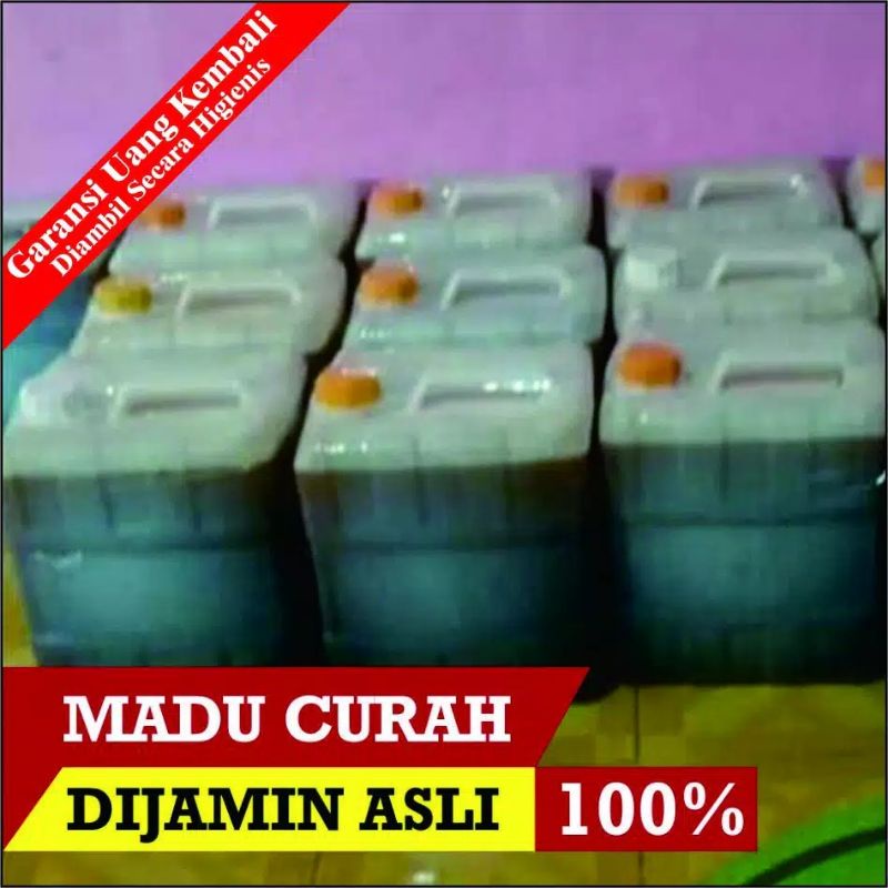 

MADU KLANCENG CURAH 5 kg Tanpa Merk Lebah Apis Trigona - Bergaransi Produk Asli 100%