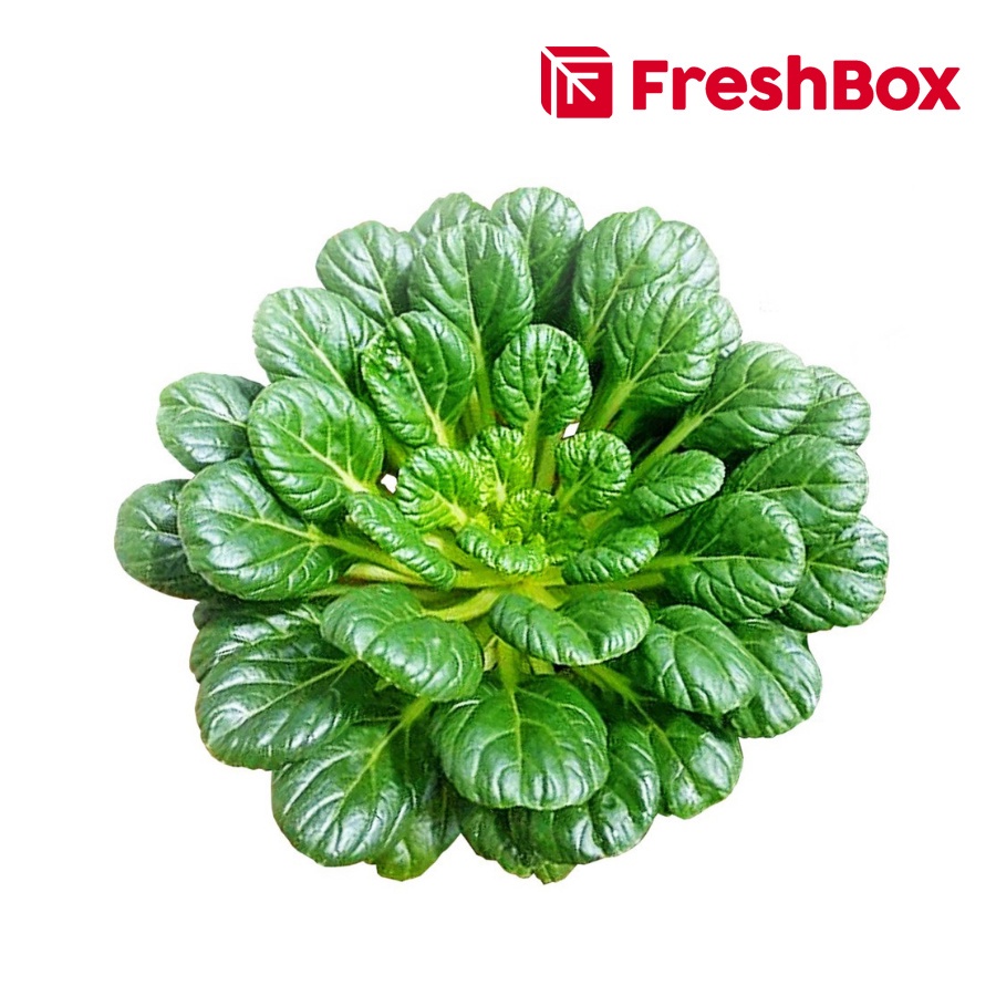 Sawi Pagoda 450-600 gram FreshBox