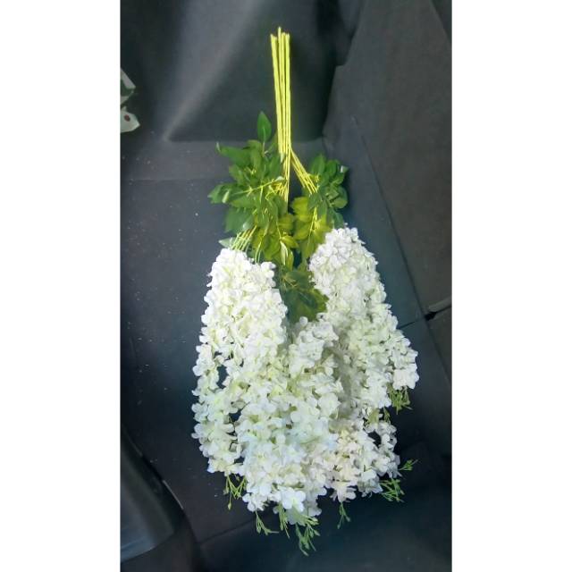 Wisteria jumbo putih