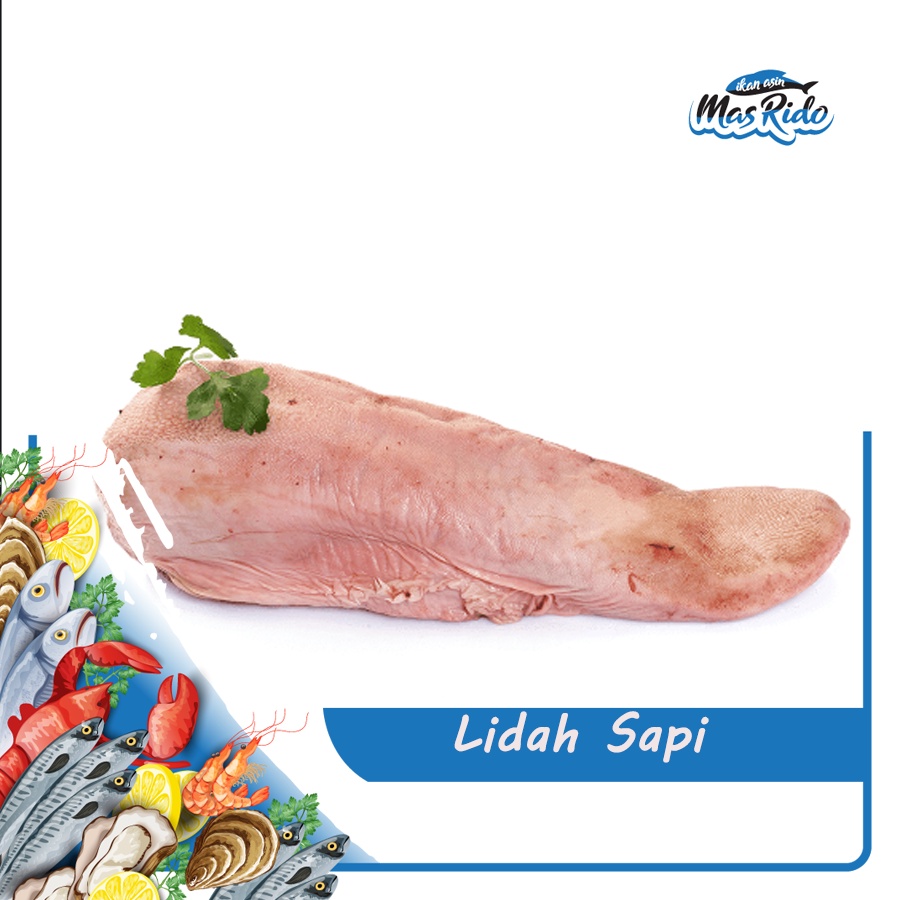 

Lidah Sapi Beef Toungue Segar Fresh Kwalitas Super Harga Murah