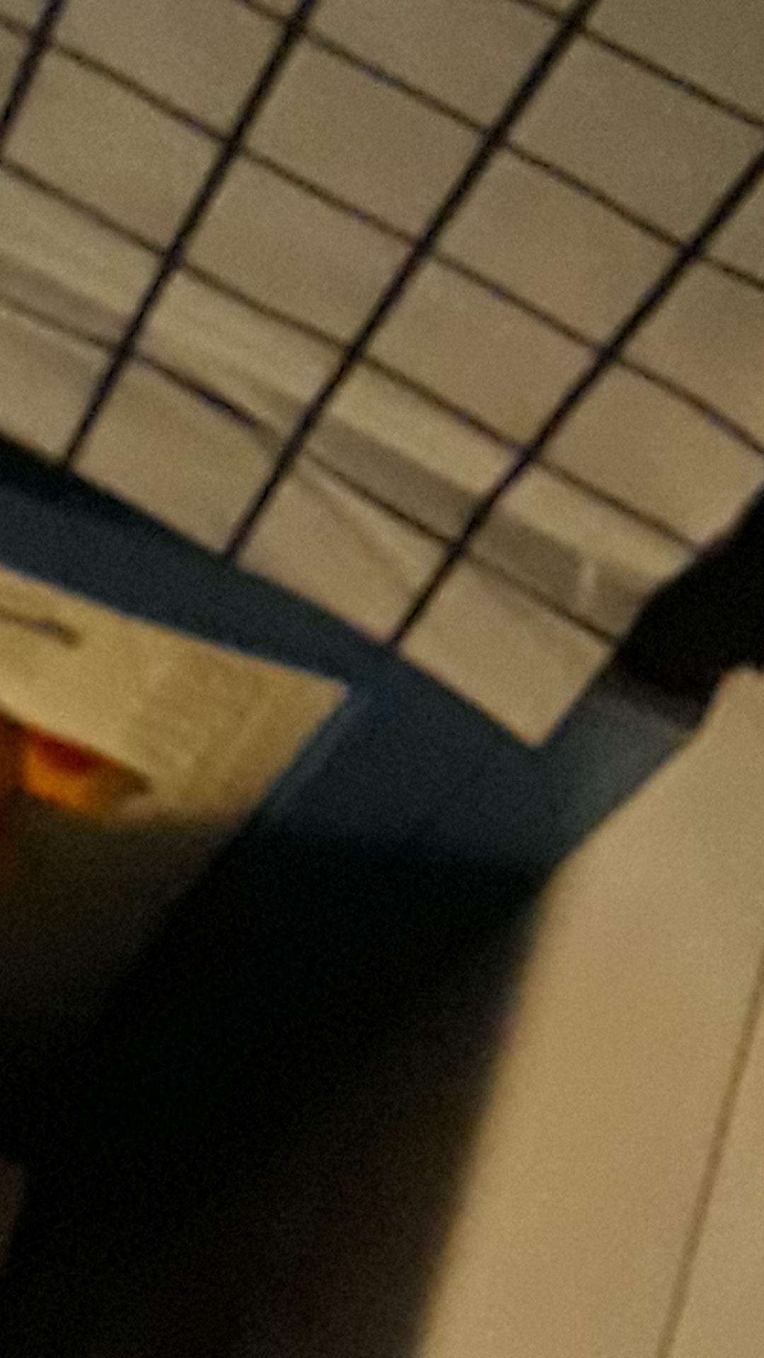 Youtube Like Real User Lifetime Guaranted