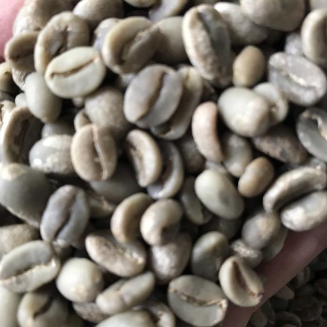 

Sale Green Bean Arabika Flores Bajawa Full wash G1 /KOPI RUBE/KOPI KAPAL API/KOPI SLB/KOPI PEJUANG/KOPI BUBUK