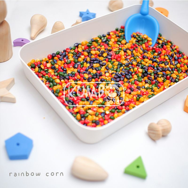Mainan Montessori Rainbow Corn Jagung Warna Warni Sensory Play Anak 100 gram
