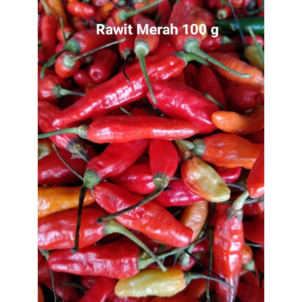 

Cabe Rawit Merah