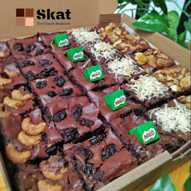 

Skat Brownies, Brownies 5 Rasa