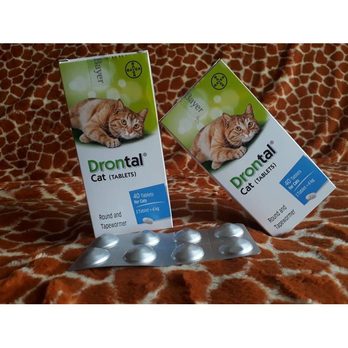 Drontal Cat Obat Cacing Untuk Kucing