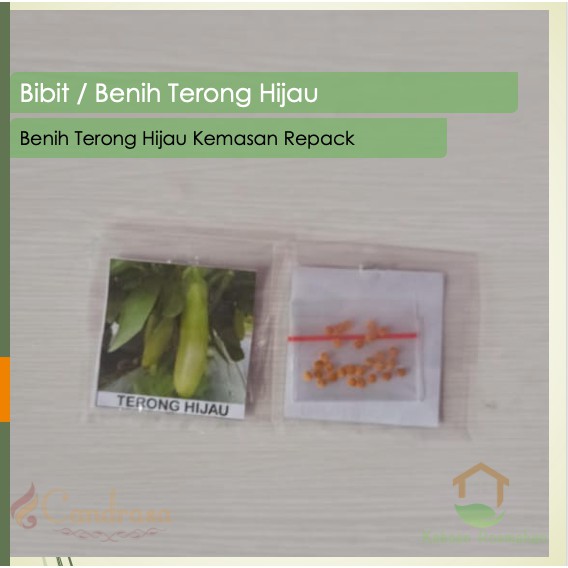 Biji Terong Hijau / Benih Terong Hijau / Benih Sayuran