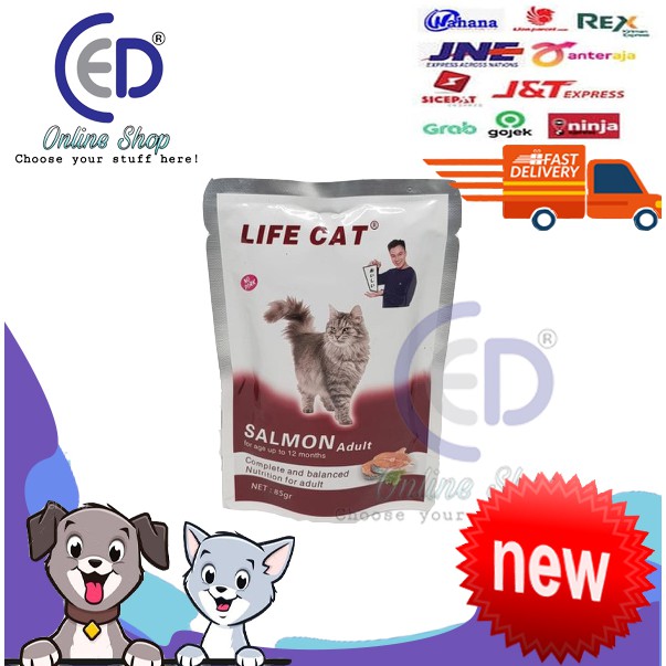 MAKANAN KUCING BASAH WET FOOD POUCH LIFE CAT ADULT SALMON 85GR