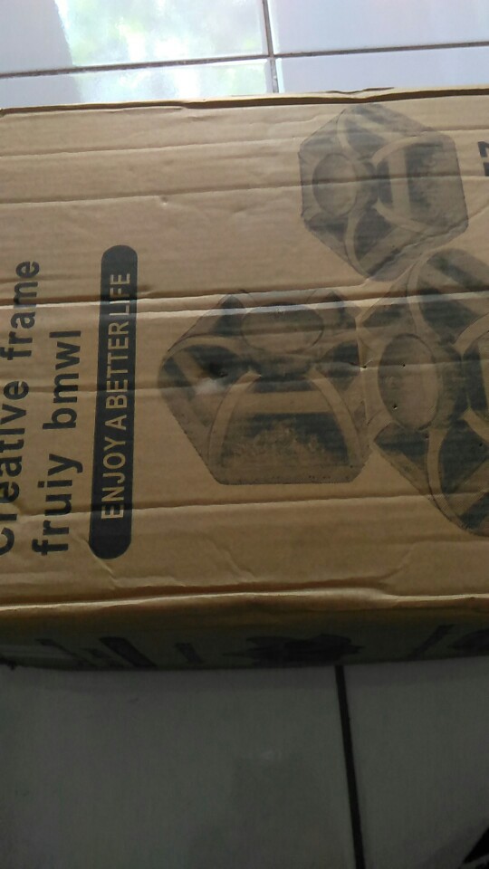 ( Bayar Di Tempat ) Toples Cantik Toples Kue Lebaran Dan Permen 6 Tray Toples Terbaru Bunga Lotus