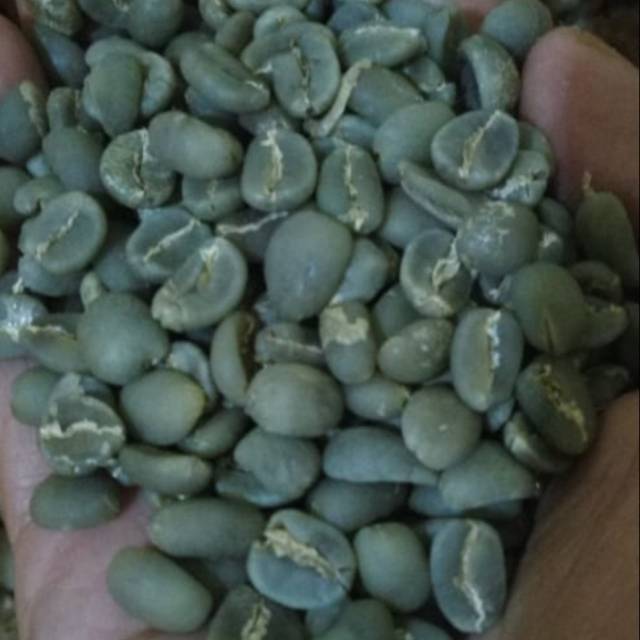 

Kopi Arabika Toraja Mamasa