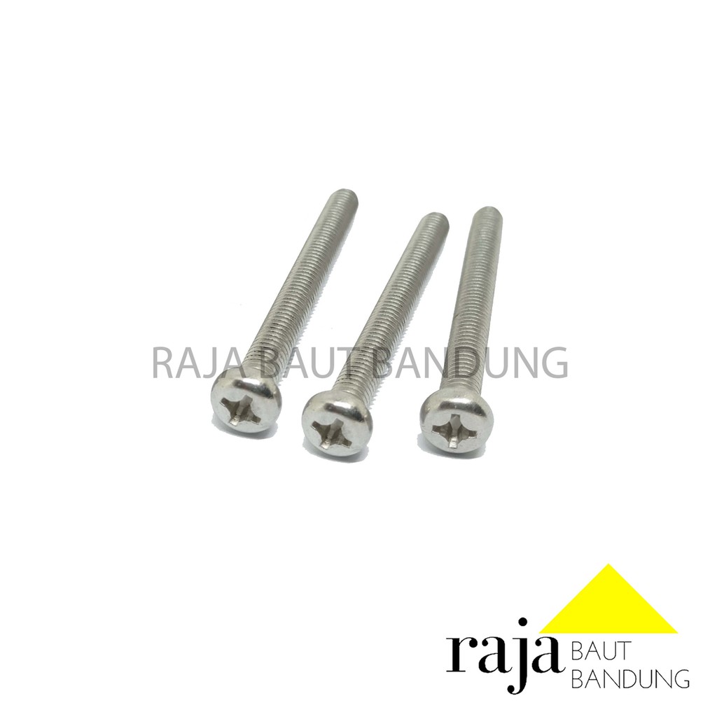 BAUT JP M5X40 STAINLESS STEEL 10 PCS BO JP SS 5X40