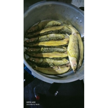 

Bandeng presto