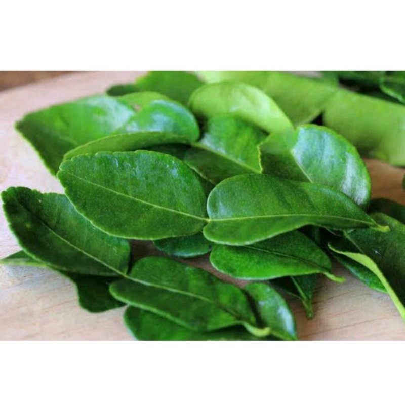 

Daun Jeruk Fresh Repack 50-100gram Bumbu Masak Harum