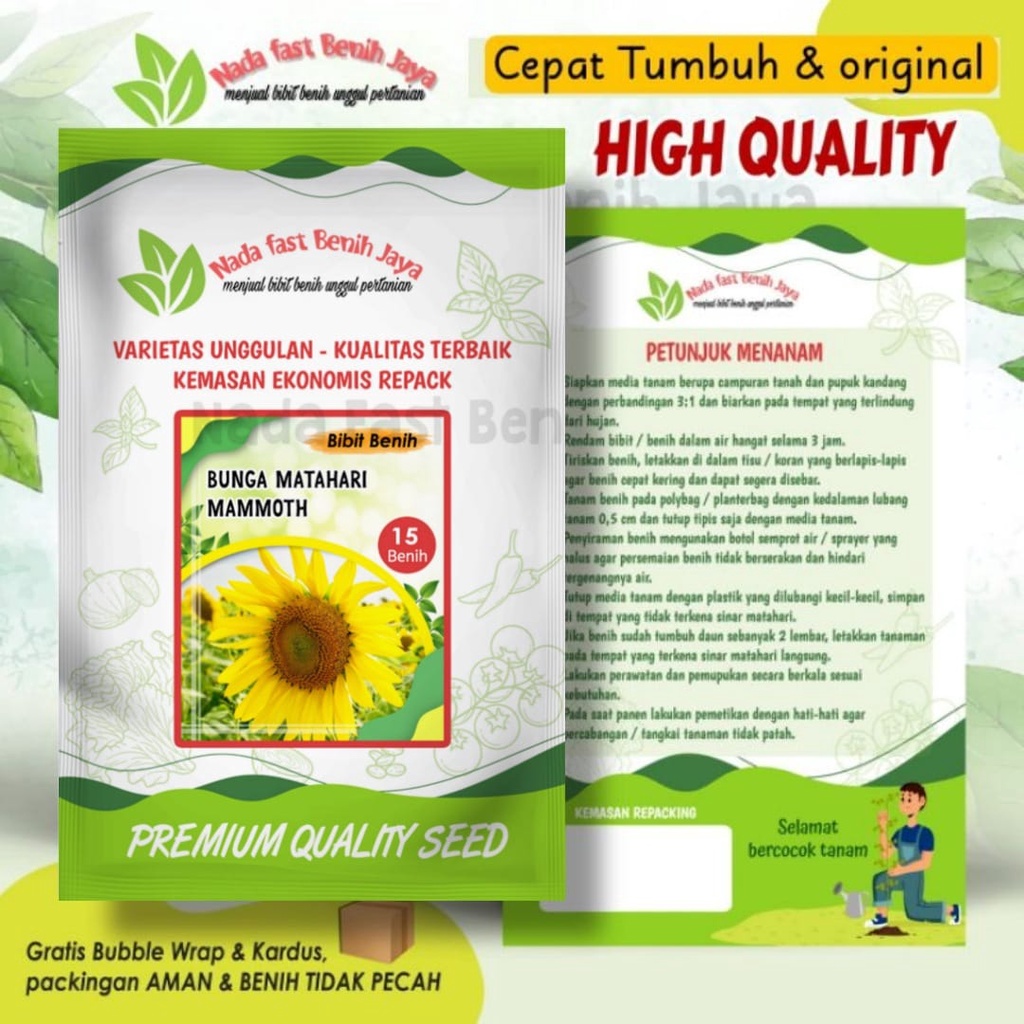Benih bibit bunga matahari Mammoth 15 biji