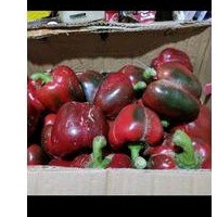 

Paprika merah 1kg kw2