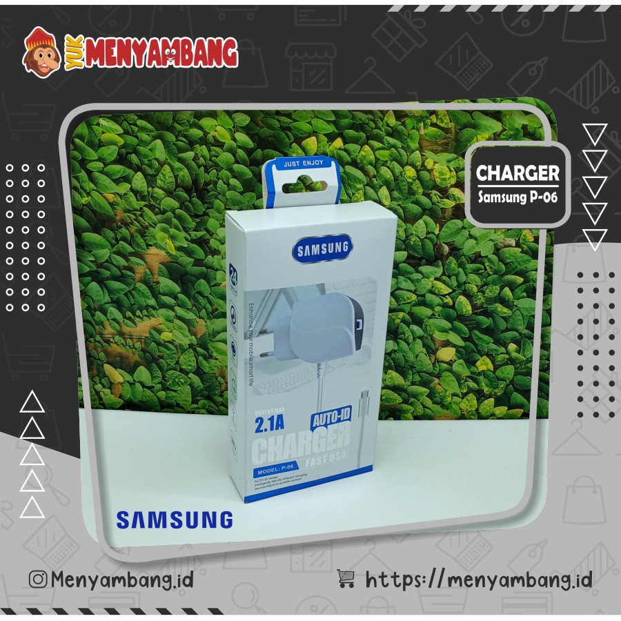 40410 | TC-Samsung P-06 | Charger Samsung P-06
