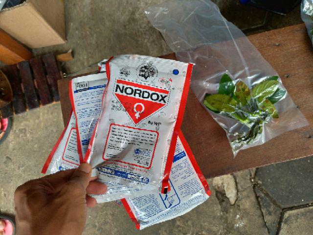 Fungisida Bakterisida alami Nordox 56 WP 100 gr | Shopee ...
