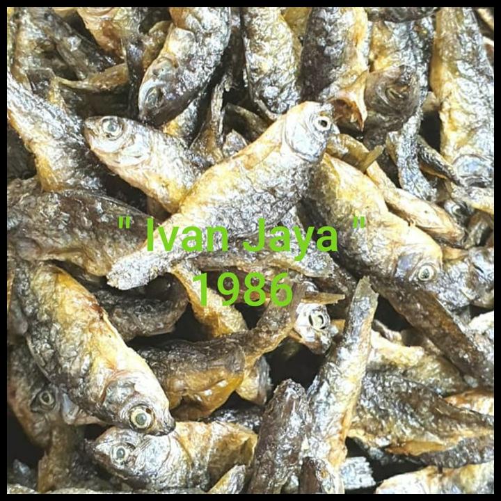 

Ikan Danau Singkarak/Bilih/Tawar Padang500 Gram