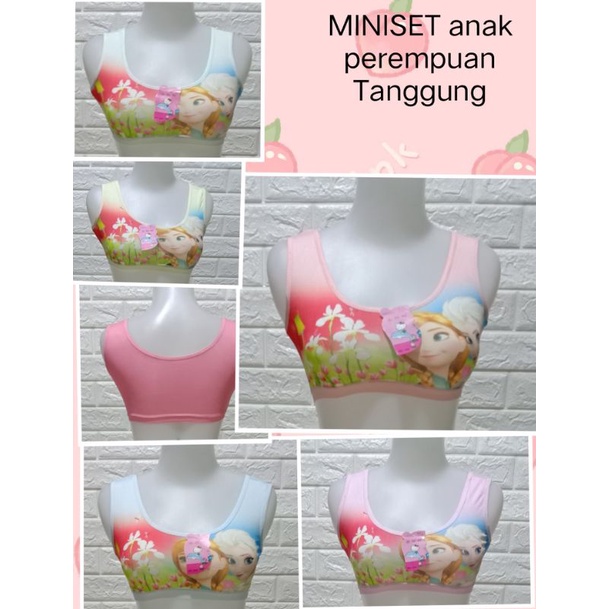 Miniset (340/B237) Anak perempuan Tanggung All SIZE Warna Random pakaian dalam Cewek