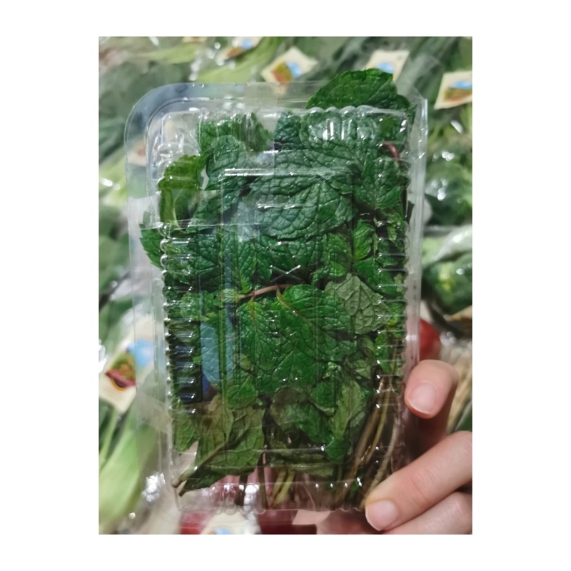 

peppermint || Daun Mint || 100 gr || Sayuran Organik