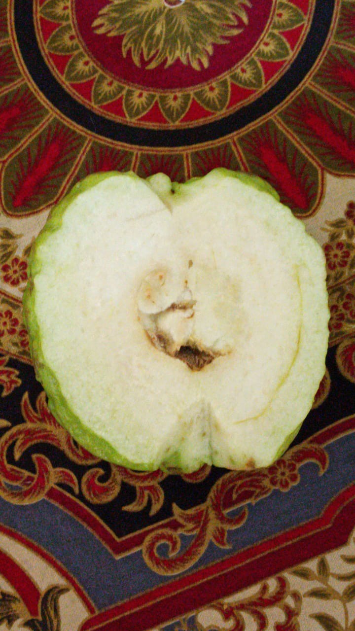 Batik Kalongan | Gamis Batik Best Seller Terlaris Motif Unggul Jaya