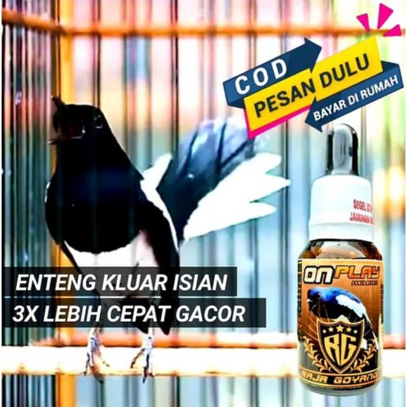 ON PLAY KACER Vitamin Kacer On Play RG