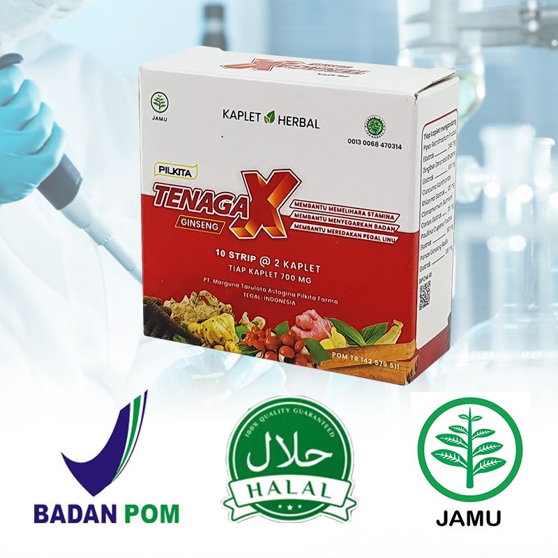 PILKITA Kaplet Herbal 10 Strip Isi 2 Kaplet Tenaga X Ginseng BPOM Halal Meredakan Pegal Linu Dan Nye